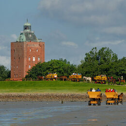 Anreise Insel Neuwerk mit Wattwagen