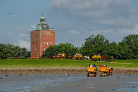 Anreise Insel Neuwerk mit Wattwagen