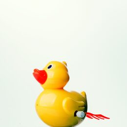 Ente