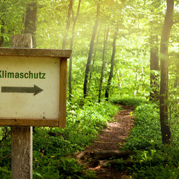 Das Klimaschutzmanagement hat verschiedene Schwerunkte.