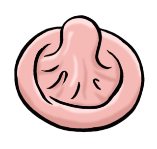 Abbildung eines Kondoms