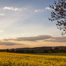 Die Stadt Salzgitter hat schon viele Klimaschutzaktivitäten umgesetzt.