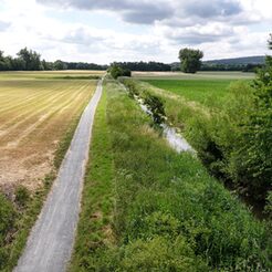 Zwischen der Theodor-Heuss-Straße und der der Autobahn 39 plant die Stadt Salzgitter auf städtischen Flächen eine Renaturierung der Fuhseaue.