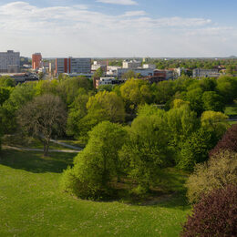 Der Stadtpark besitzt einen schützenswerten Baumbestand und große Flächen an Scherrasen.