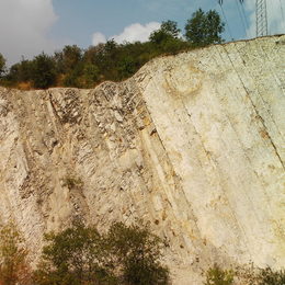 Der Steinbruch bei Salder ist weltweiter geologischer Referenzpunkt.