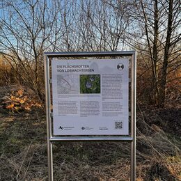Hinweistafel zu den Flachsrotten in Lobmachtersen