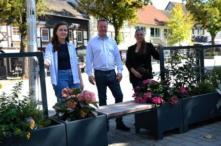 Beispielbild zur gestaltung mit mobilem Grün