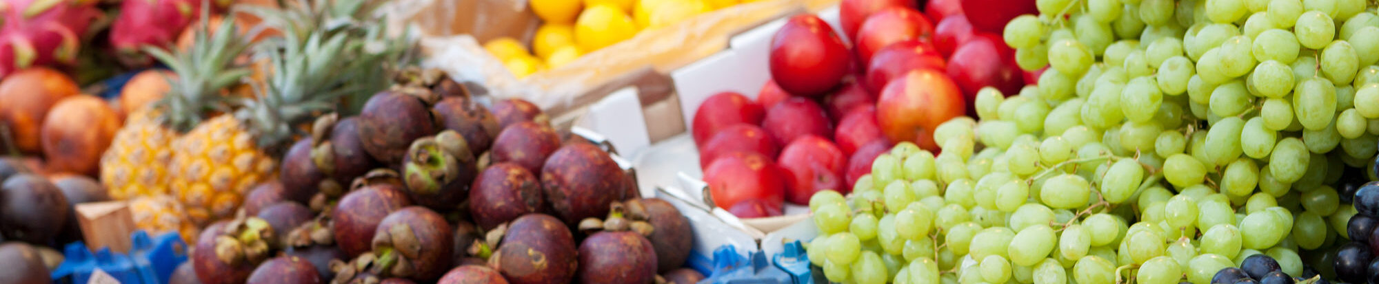 PantherMedia 6360765