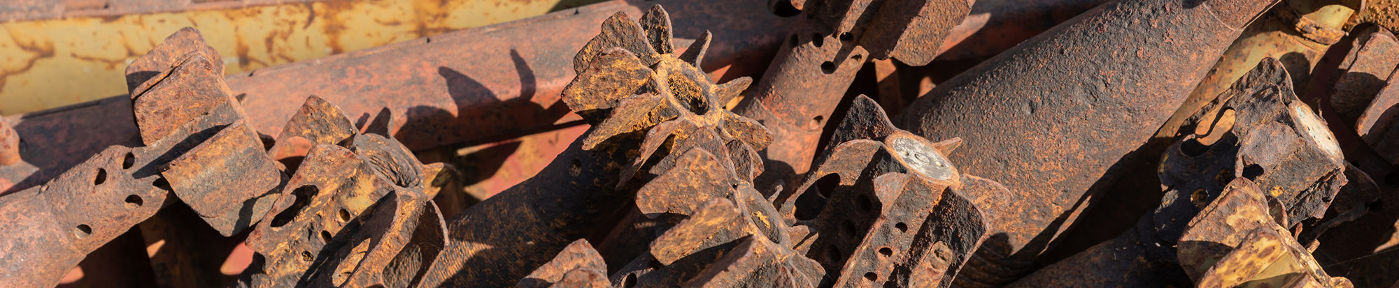 PantherMedia B253161702