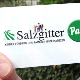 Salzgitter-Pass