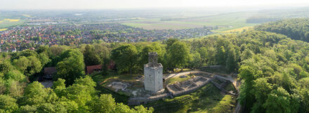 Panoramabild der Burgruine
