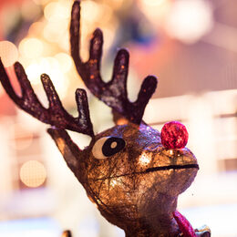 Das Winterkonzert stimmt auf Weihnachten ein.